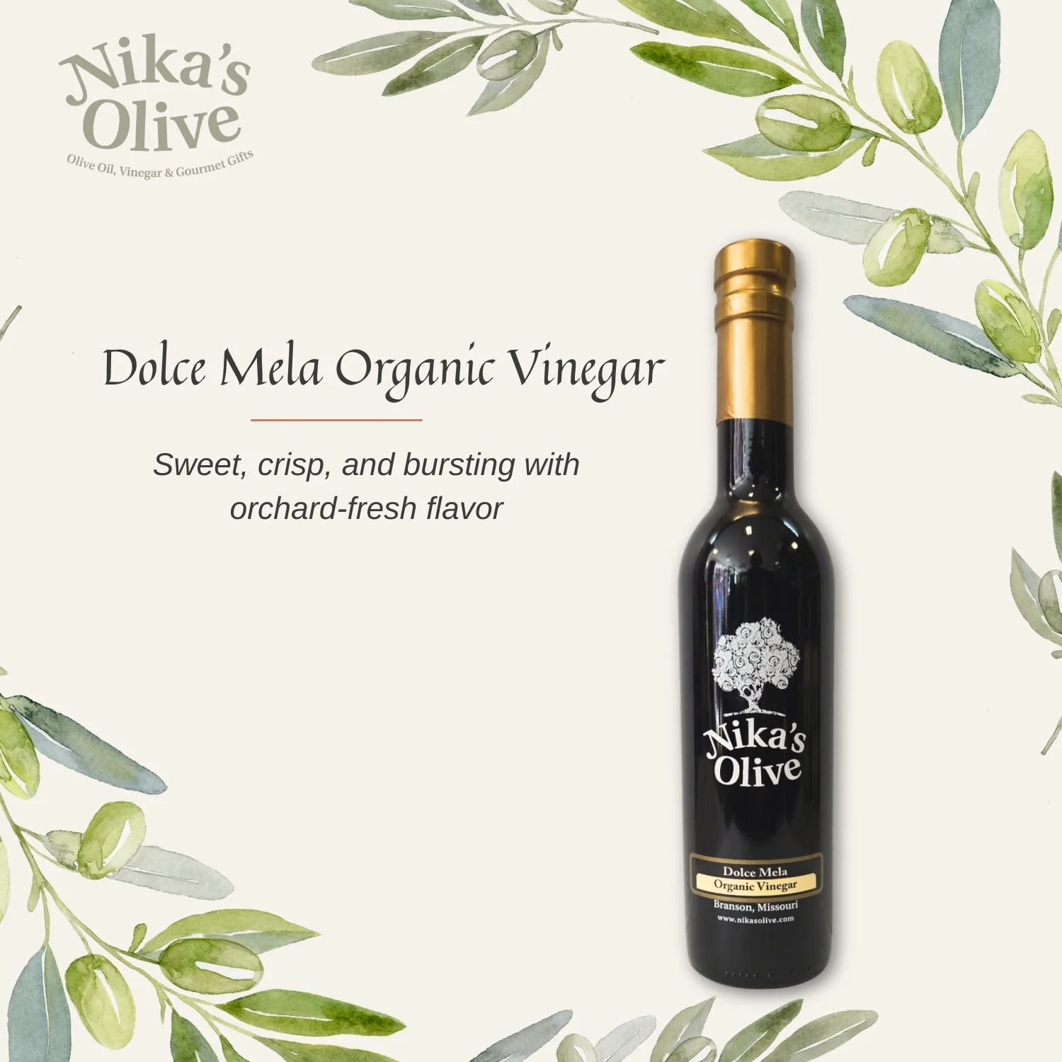 Shop Flavored Olive Oils & Aged Balsamic Vinegar Online | Nika's